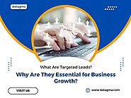 What Are Targeted Leads and Why Are They Essential for Business Growth?