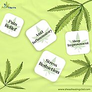 Order your pack of Sheas Topical CBD Patches
