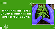 What Are The Types Of CBD & Which Is The Most Effective One?