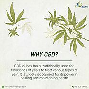 Try Sheas CBD Topical Patches for pain