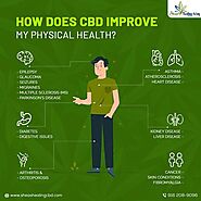 Reach us to buy CBD Topical Patches