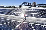 Ensuring Efficiency and Avian Harmony in Solar Installations in Sydney