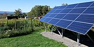 The Crucial Role of Bird-Proof Solar Panels in Sydney's Renewable Energy Landscape