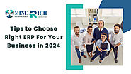 Tips To Choose The Right ERP Software For Your Business in 2024