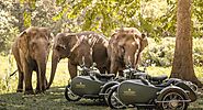 Royal Enfield Sidecar