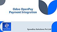 Odoo ERP Integration Services by Synodica Solutions