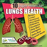 Top Ten Respiratory Herbs