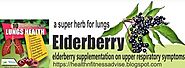 Top Ten Lung Repair Herbs-05 Elderberry