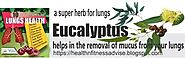 Top Ten Lung Repair Herbs-06 Eucalyptus