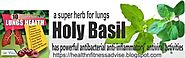 Top Ten Lung Repair Herbs-07 Holy Basil