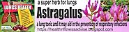 Top Ten Lung Repair Herbs-08 Astragalus