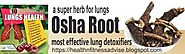 Top Ten Lung Repair Herbs-09 Osha Root