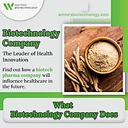 Biotechnology Company: The Leader of Health Innovation