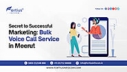 Secret to Successful Marketing: Bulk Voice Call Service in Meerut
