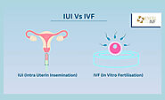 What’s The Difference Between IUI And IVF?
