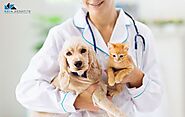 Why Veterinarians Recommend Pet Insurance: 9 Crucial Benefits