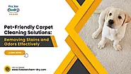 Pet-Friendly Carpet Cleaning Solutions: Removing Stains and Odors Effectively