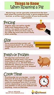 Things to Know When Roasting a Pig