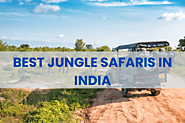 Get Closer to Nature: 10 Best Jungle Safaris in India
