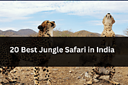 "Tourism of India: 20 Best Jungle Safari in India "