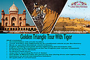 Embark on a Majestic Expedition: The Golden Triangle Tour with Tiger by Lotus India Holidays