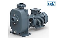 Top Reasons to Choose Lubi Self Priming Centrifugal Pumps