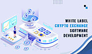 Accelerate With White Label Crypto Exchange Software Development