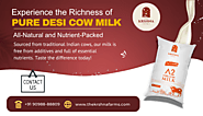 Experience the Rich and Nutritious Flavor of Pure Desi Cow Milk