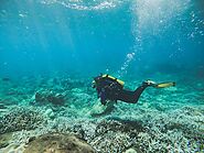 Diving in Unawatuna