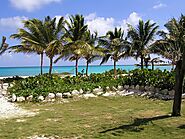 Parque Nacional del Este – Punta Cana, Dominican Republic