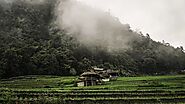 Misty Village