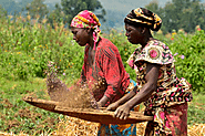 Sanjeev Mansotra Paves the way for Female Farmers to Confront Unique Challenges in Agribusiness