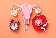 How Many Days After Your Period Do You Ovulate?