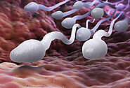 How to Make Sperm Stronger for a Healthy Pregnancy?