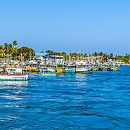 NEGOMBO FISH MARKET