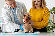Benefits of Buying Pet Insurance in 2024