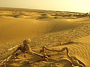 Khuri Sand Dunes