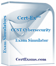 Cert-Ex CCST Networking Exam Sim