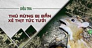 Video điều tra: Thú rừng Vườn quốc gia Cát Tiên bị bắn trộm, xẻ thịt | Báo Pháp Luật TP. Hồ Chí Minh