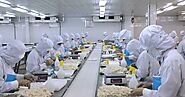Đổi mới xây dựng pháp luật: Doanh nghiệp kỳ vọng nền tảng pháp lý thống nhất | Báo Pháp Luật TP. Hồ Chí Minh