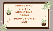 digital marketing, Brand Promotion & SEO