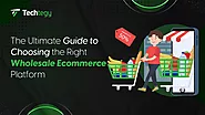 Right Wholesale Ecommerce Platform: Select The Best Platform - Techtegy