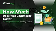 How Much Does WooCommerce Cost? - Techtegy