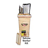 Buy Deluxe Beginner Hive Kit - Complete Beekeeping Kit | Blythewood Bee Company