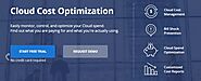 Cost Optimization cloud engineering services