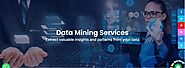 evertechbpo-Data Mining Services