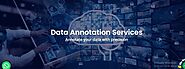 evertechbpo-Data Annotation Services