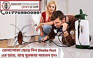 Cockroach Control - Call: 01778590999. Protect Environment.