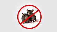Rodent Control - 01778590999. Protect your environment.