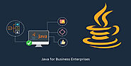 What are the future plans of Java for Business Enterprises?